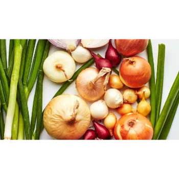 Onion (7)-7526180-41887.webp